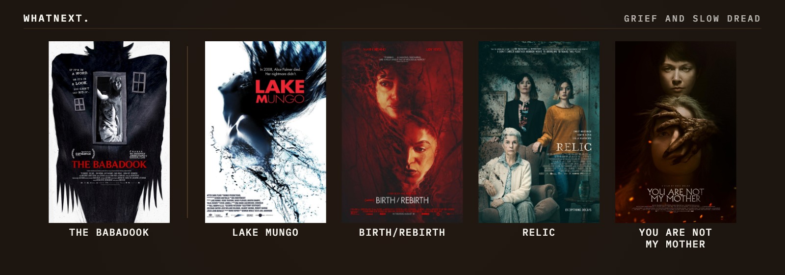 If you liked The Babadook: Lake Mungo, Birth/rebirth, Relic, You Are Not My Mother